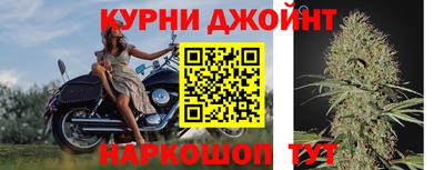 гидра Бузулук