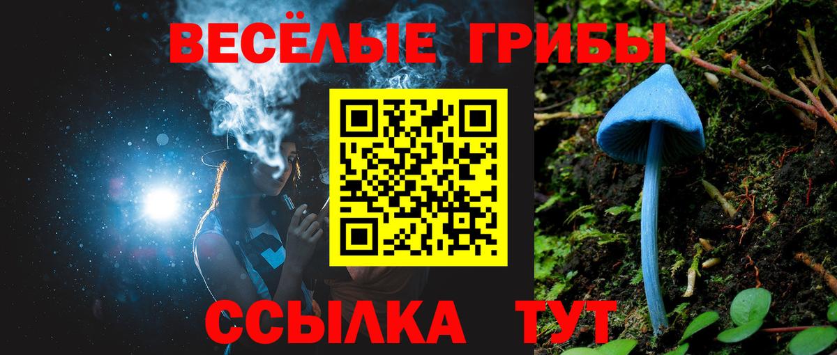 Галлюциногенные грибы Magic Shrooms  Вход с VPN  Сальск  Галлюциногенные грибы прущие грибы 